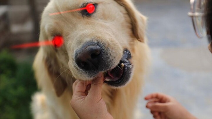 When You Feed the Dog But Won’t Let Go of the Food