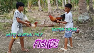 WHITE GENERAL PYLE VS BOSTON RAPTOR SPAR!!   JRP BACKYARD