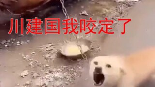 Jianguo telah terungkap