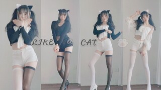 少女变身成为混血小猫后裂开了~