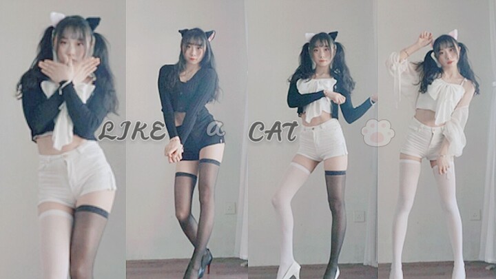 The girl turned into a mixed-blood kitten and split open~