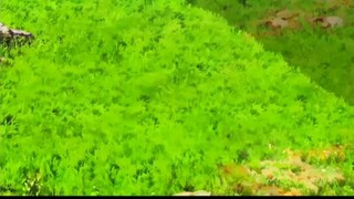 Sengoku_Basara_AMV_TM_Revolution_-_SWORD_SUMMIT