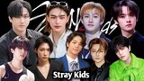 The Original Members of Stray kids with their Difference Personalities on Stage