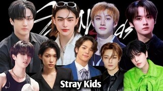 The Original Members of Stray kids with their Difference Personalities on Stage