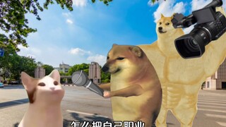 怎么把自己职业，说得更高大上一点！