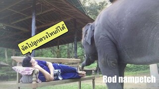 น้ำเพชรนวดแผนโบราณใครสนใจให้นำ้เพชรนวดบ้างครับ