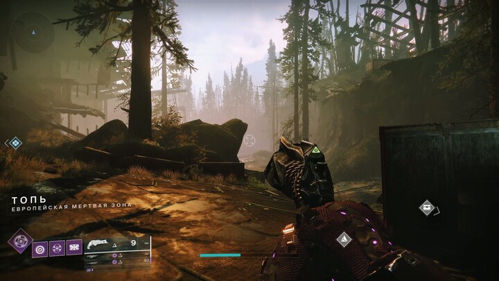 Where to find a scenic spot in The Dark Forest in the EDZ in Destiny 2?