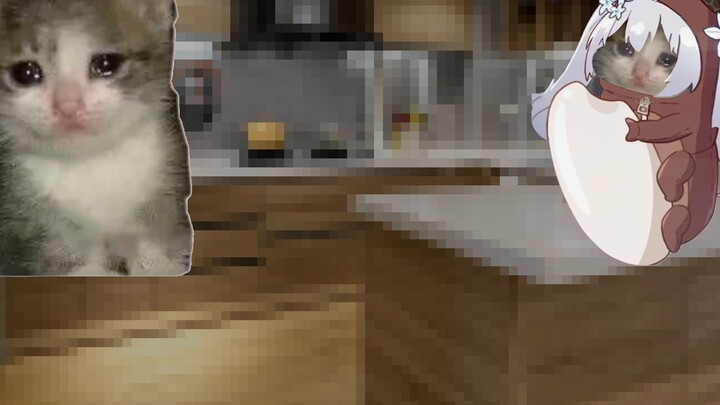 Croissant cat, but a rice bug