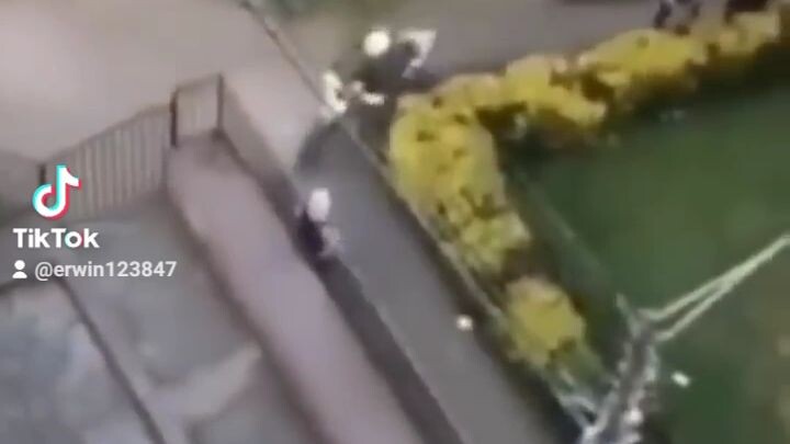 ZILONG DIDUNIA NYATA