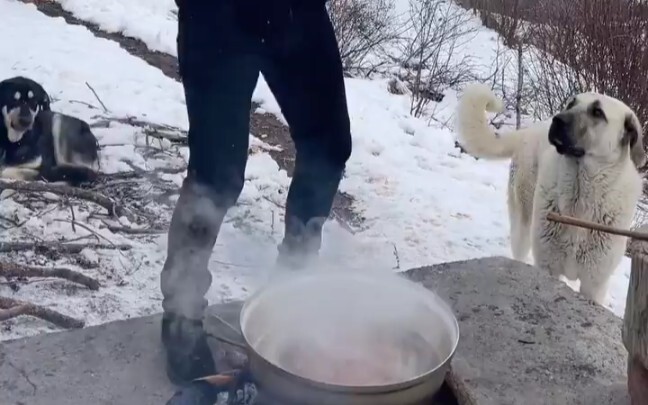 Nasus Sausage and Beans Rice