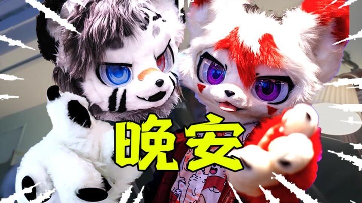 إذا لم يذهب فو روي إلى النوم، فسوف نرقص.