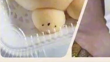 หนังสือเล่มแรกสุดที่ยังหลงเหลืออยู่ในประเทศของฉัน