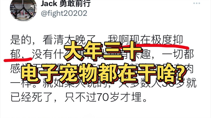 في ليلة رأس السنة الصينية، ماذا تفعل الحيوانات الأليفة الإلكترونية؟