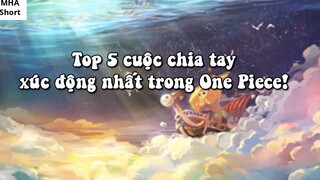 Top 5 cuộc chia tay xúc động nhất trong One Piece!- 1