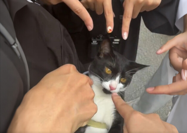 ตอนที่ให้กำลังใจเสียงฮ่ามากที่สุด