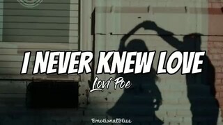 I never knew love - Lovi Poe
