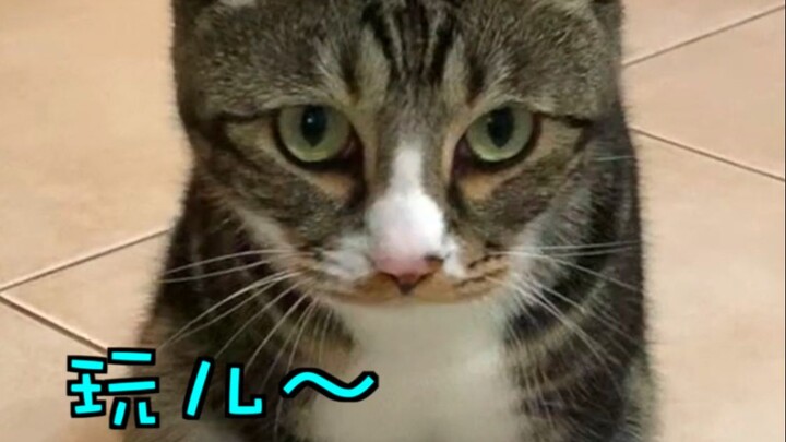 羽毛子第五弹---你摔谁呢？！