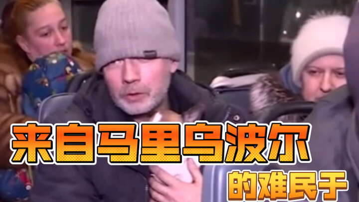 Refugees from Mariupol on…