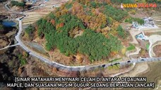 No Way Home Ep 07 Sub Indo