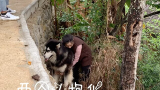 Your Majesty, today Sister Pen grabbed my hair!