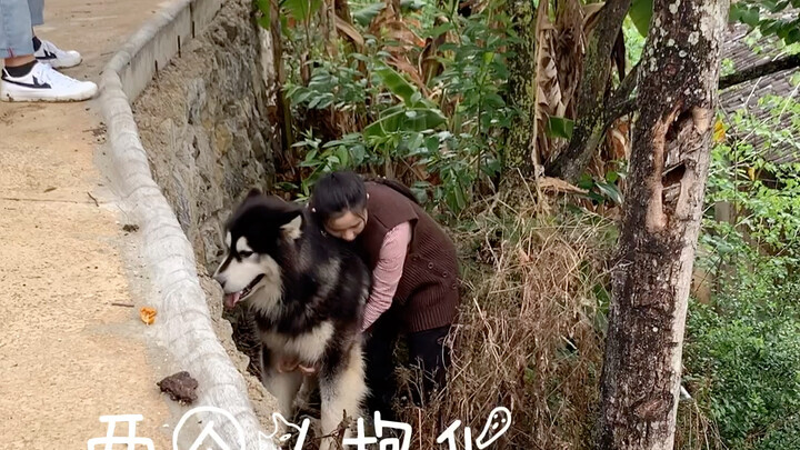 大王 今天盆姐揪我毛了！