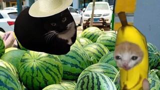 Banana Cat thought it was too hot, so he went to buy a watermelon to eat—but ended up crying again.