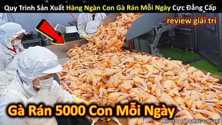 Quy Trình Sản Xuất Hàng Ngàn Con Gà Rán Siêu Ngon Và Chất Lượng Mỗi Ngày || Review Giải Trí Đời Sống