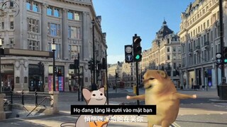 Con chó con mèo độc thân