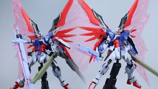 真愤怒之鸟ZAFT 命运高达 MR样式