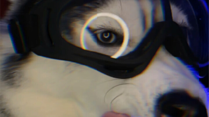 เคยได้ยินประเทศเสวียนอู่ไหม? ใช่แล้ว ฉันคือแบทแมนจากที่นั่น!