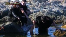 Law of the Jungle in New Zealand | Chattam Islands [3] SUB INDO