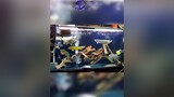 Cá lớn nuốt cá bé cavang pet thucung cacanh