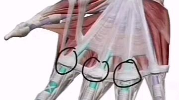 นวดนิ้วกดจุด