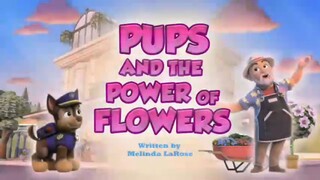 Paw patrol Musim 11 Episode 20 original