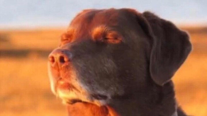 mở một cuộc tập kết