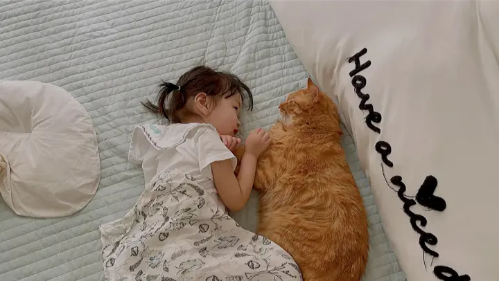 Cat Princess Wakes up And Plays with Her Cats