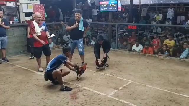 mega 2wins.new jasaan cocokpit.. (champion)