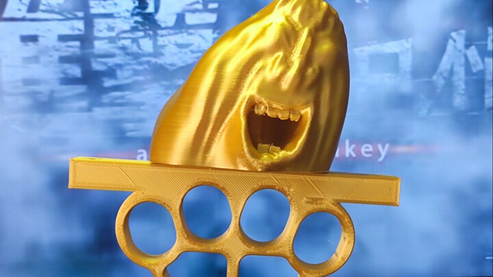 Speaking with reason to persuade others