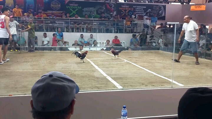 4 stag derby @ polomolok sport complex