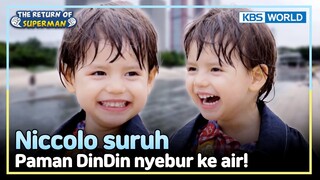 [IND/ENG] Main air mancur, Niccolo sampai basah kuyup | The Return of Superman | KBS WORLD TV 240714