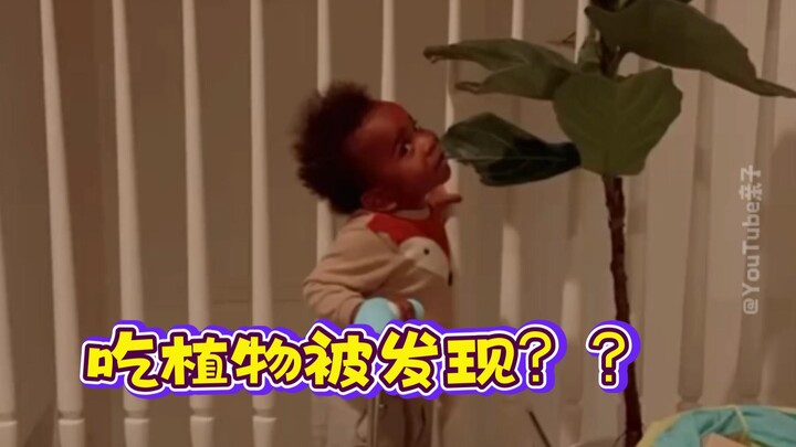 ??? Phát hiện bé mê ăn cây xanh 😂😂