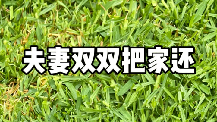 The Fragrant Consort attracts butterflies, while the Otaku Emperor attracts snails.