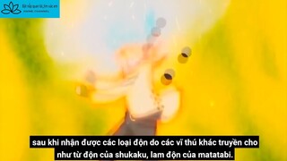 Bật nắp quan tài_tìm xác em - kể về Naruto P4 #Anime #schooltime