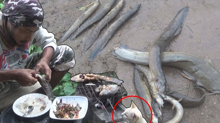 เหยื่อไส้เดือน ตกปลา กินข้าวกับแมว [ งัดวัง Fishing For Catfish ]