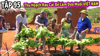 Cho Các Em Ăn Món Dưa Chuột Chấm Bột Canh || Hướng Dẫn Người Dân Bản Địa Làm Món Dưa Muối Việt Nam