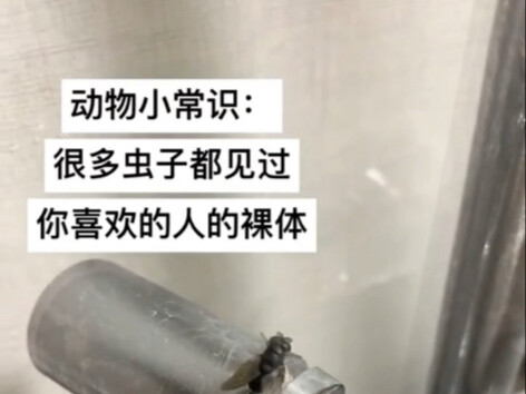 Kiến thức lạ – Rất nhiều loài côn trùng đã từng nhìn thấy cảnh khỏa thân của người bạn thích