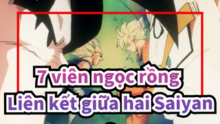 [7 viên ngọc rồng/AMV] Liên kết giữa hai Saiyans