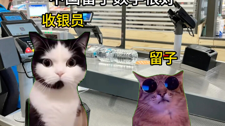 Wow! Chinese kungfu!