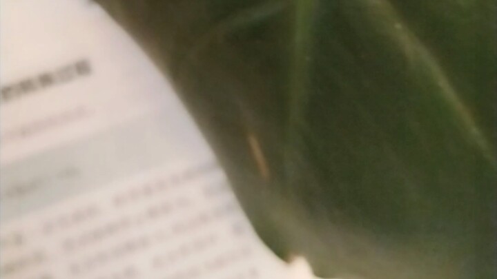 สังเคราะห์แสงด้วยตัวเอง ฝึกฝนด้วยตัวเอง