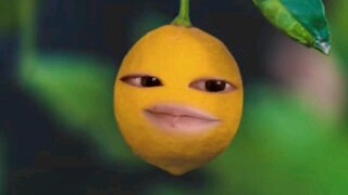 我在985大学，GPA3.7，卷生卷死三年，最终保研失败